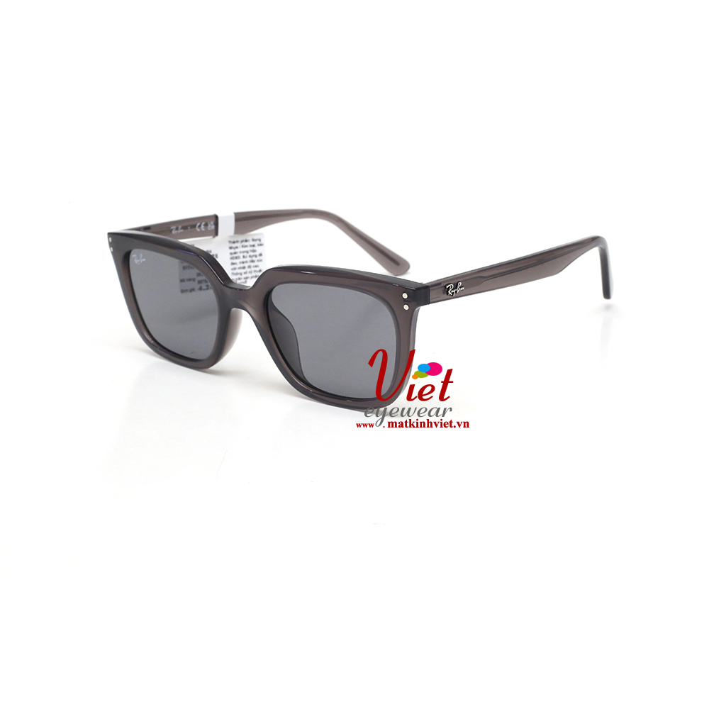 Kính mát RayBan RB4439D 6675/87